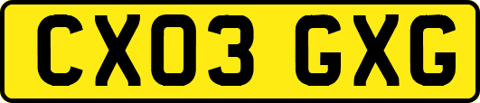 CX03GXG