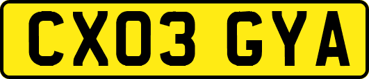 CX03GYA