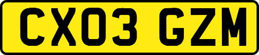 CX03GZM