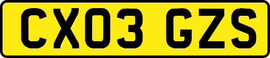 CX03GZS