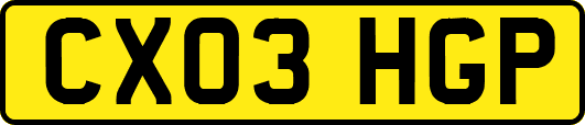 CX03HGP