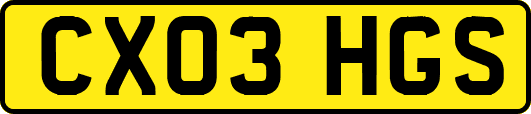 CX03HGS