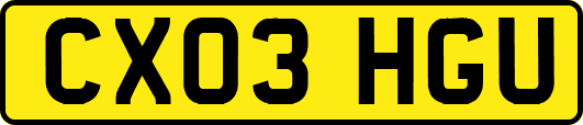 CX03HGU