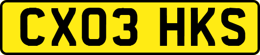 CX03HKS