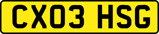 CX03HSG
