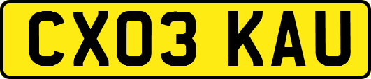 CX03KAU