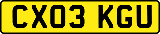 CX03KGU