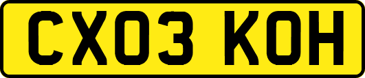 CX03KOH