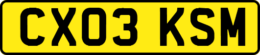 CX03KSM