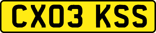 CX03KSS