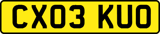CX03KUO
