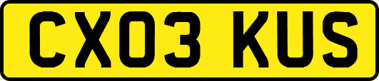 CX03KUS