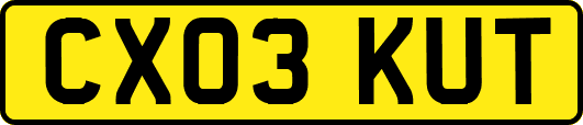 CX03KUT
