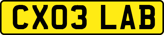 CX03LAB