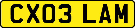 CX03LAM