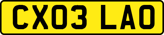 CX03LAO