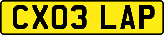 CX03LAP