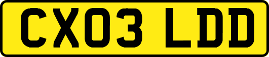 CX03LDD