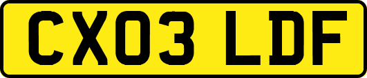 CX03LDF