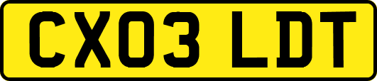 CX03LDT