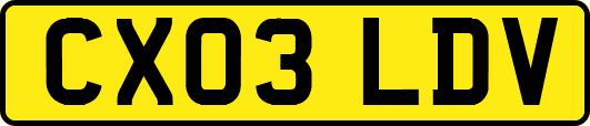 CX03LDV