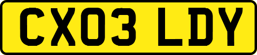 CX03LDY