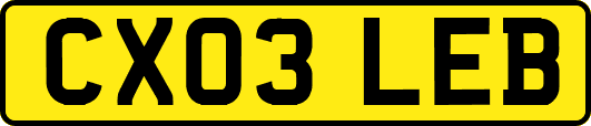 CX03LEB