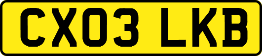 CX03LKB