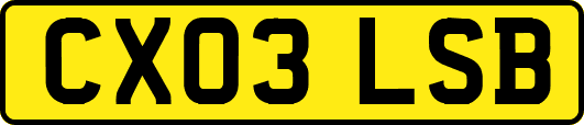 CX03LSB