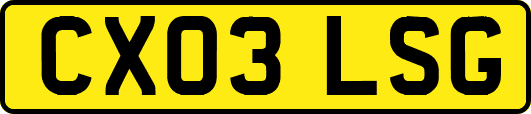CX03LSG