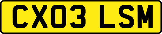 CX03LSM