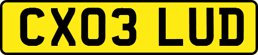 CX03LUD