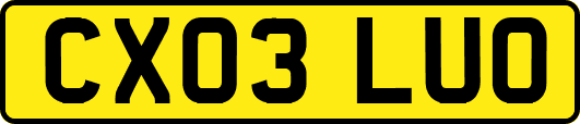CX03LUO