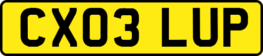 CX03LUP