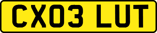 CX03LUT