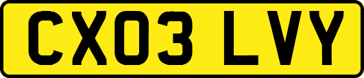 CX03LVY