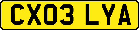 CX03LYA