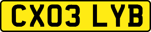 CX03LYB