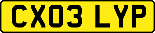 CX03LYP