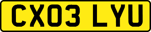 CX03LYU