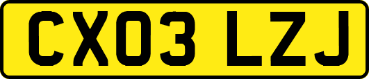 CX03LZJ