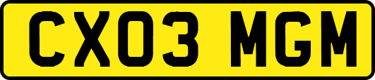 CX03MGM