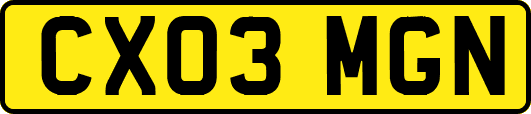 CX03MGN