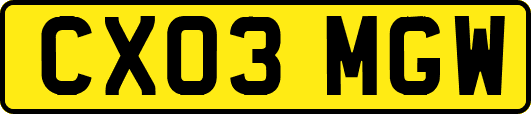 CX03MGW