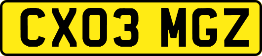 CX03MGZ