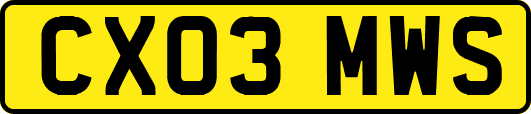 CX03MWS