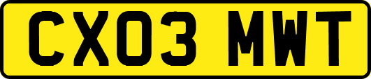 CX03MWT