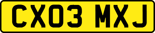 CX03MXJ