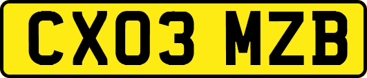 CX03MZB