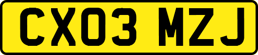 CX03MZJ
